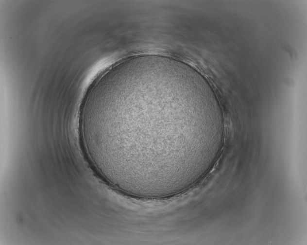 X0000115030006200911091353