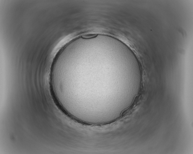 X0000115030007200911091353