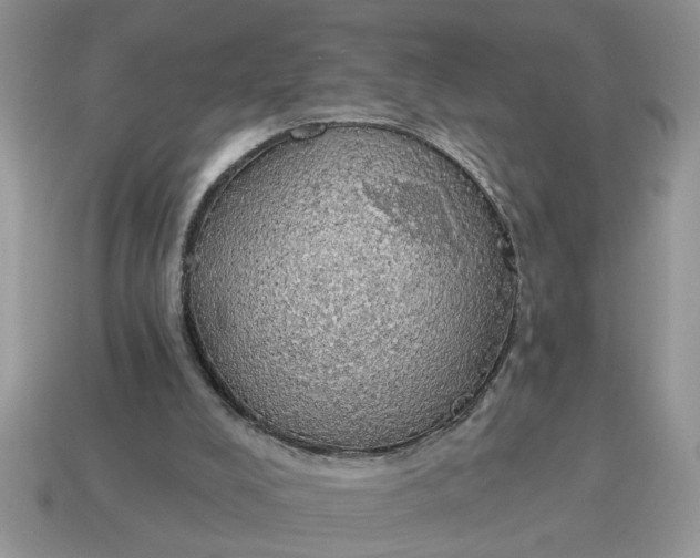 X0000115030008200911091353