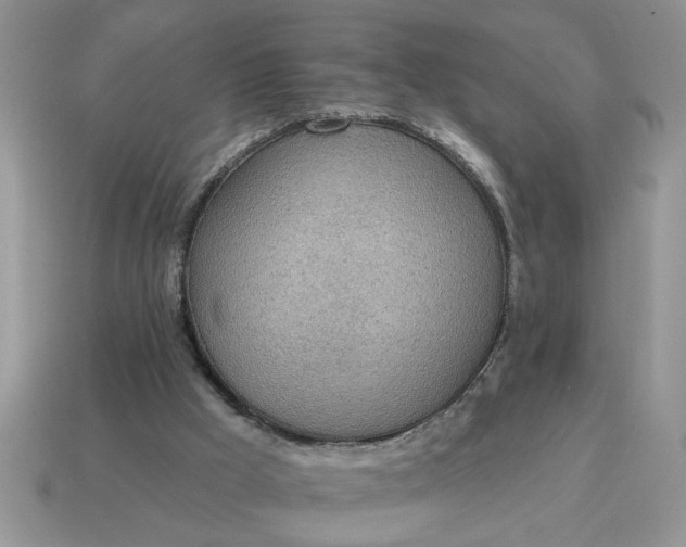 X0000115030009200911091353