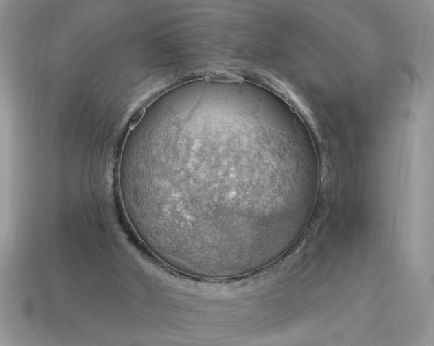 X0000115030010200911091353