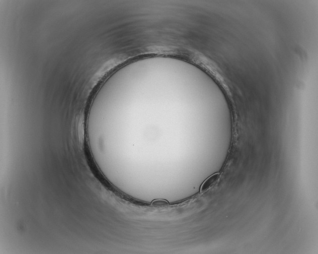X0000115030011200911091353