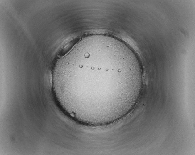 X0000115030013200911091353