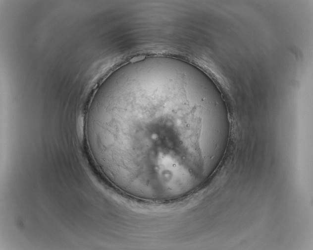 X0000115030014200911091353