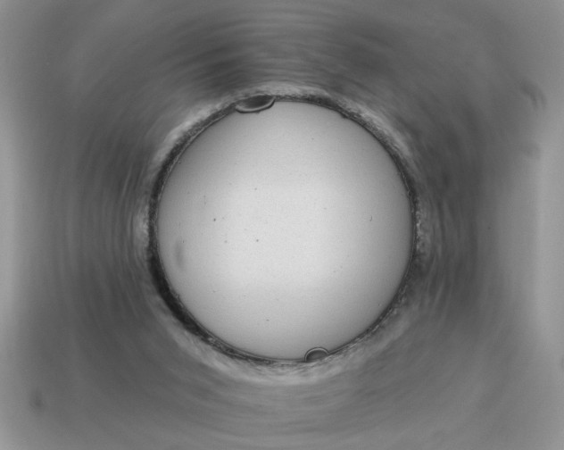 X0000115030015200911091353