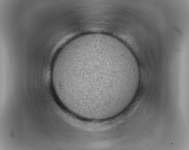 X0000115030016200911091353