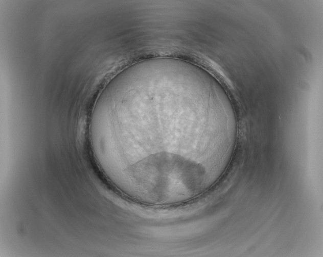 X0000115030018200911091353