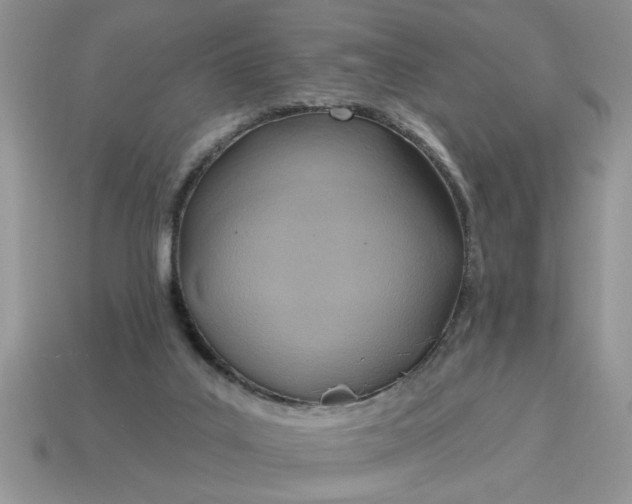 X0000115030019200911091353