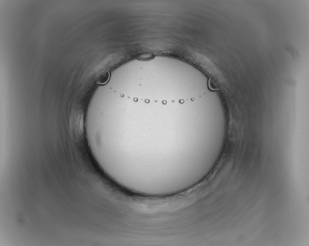 X0000115030021200911091353
