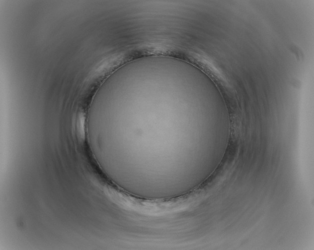 X0000115030022200911091353