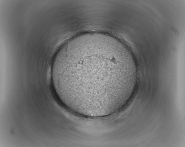X0000115030024200911091353