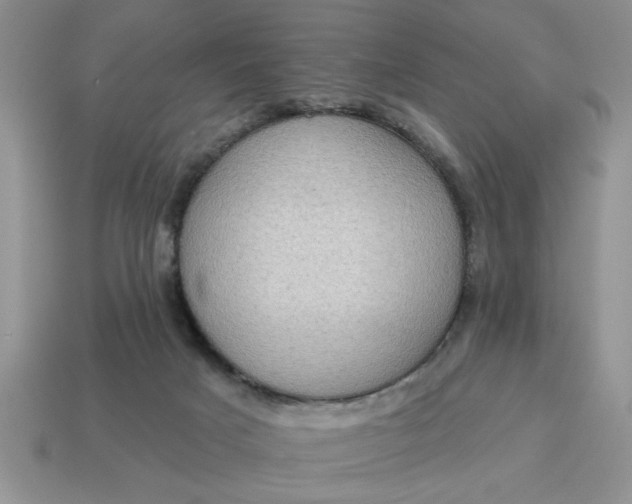 X0000115030025200911091353