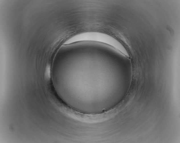 X0000115030027200911091352