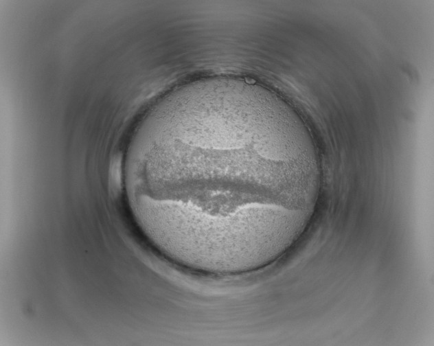 X0000115030028200911091352