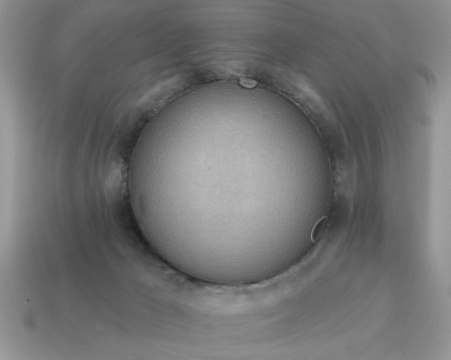 X0000115030029200911091352
