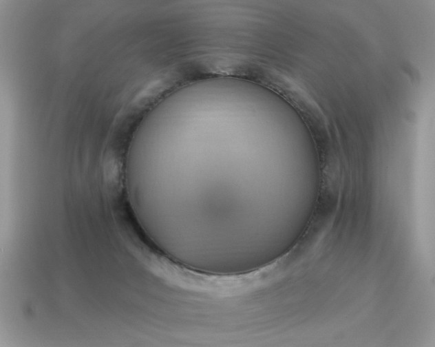 X0000115030031200911091352