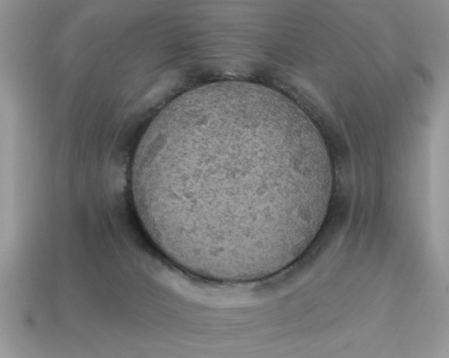 X0000115030032200911091352