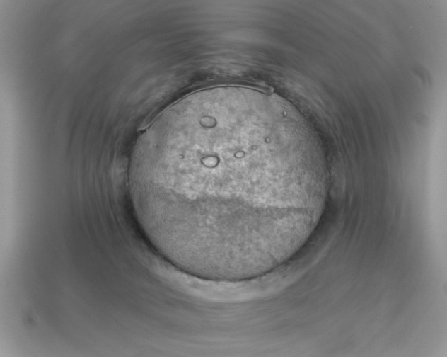 X0000115030034200911091352