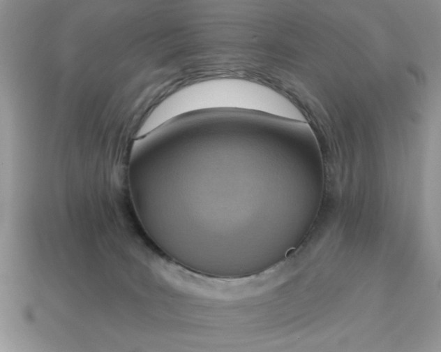 X0000115030035200911091352