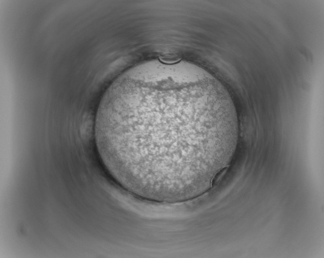 X0000115030036200911091352