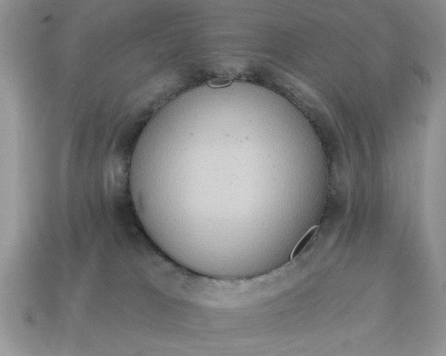 X0000115030037200911091352