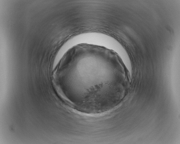 X0000115030039200911091352