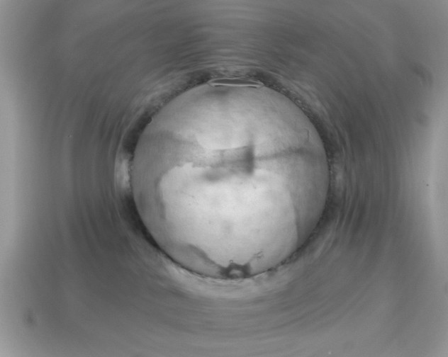 X0000115030042200911091352