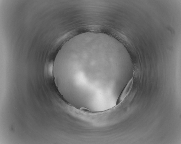 X0000115030047200911091352