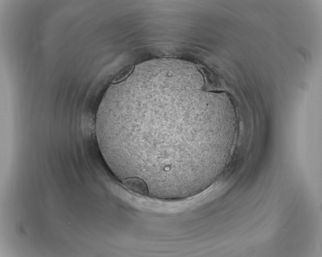 X0000115030048200911091352