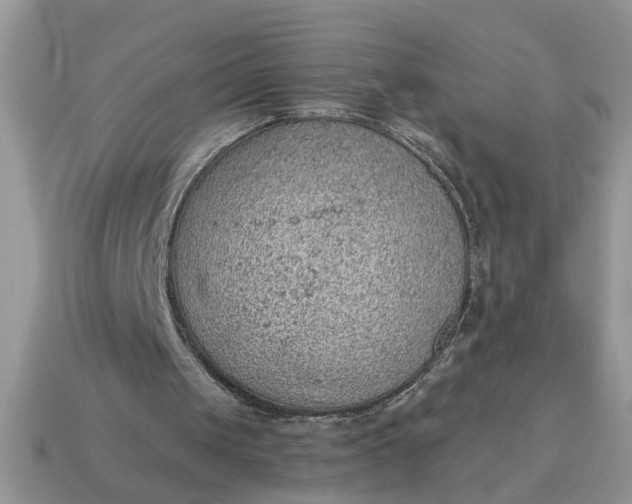 X0000115030049200911091351