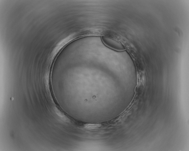 X0000115030051200911091351