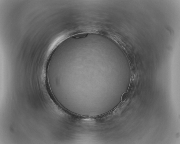 X0000115030053200911091351