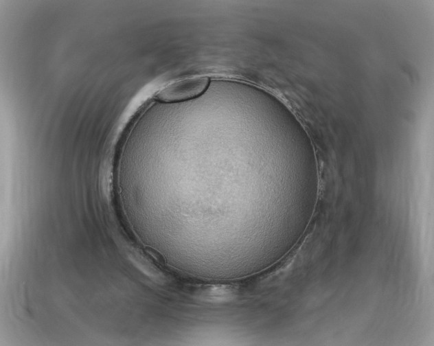 X0000115030056200911091351