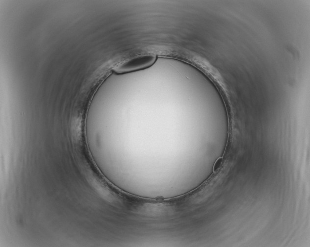 X0000115030057200911091351