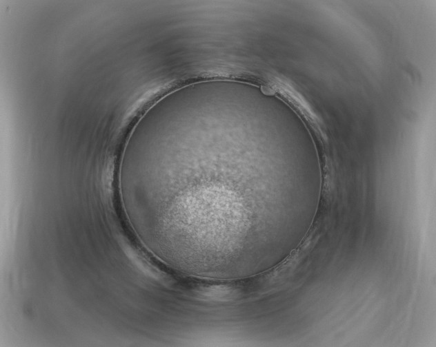 X0000115030058200911091351