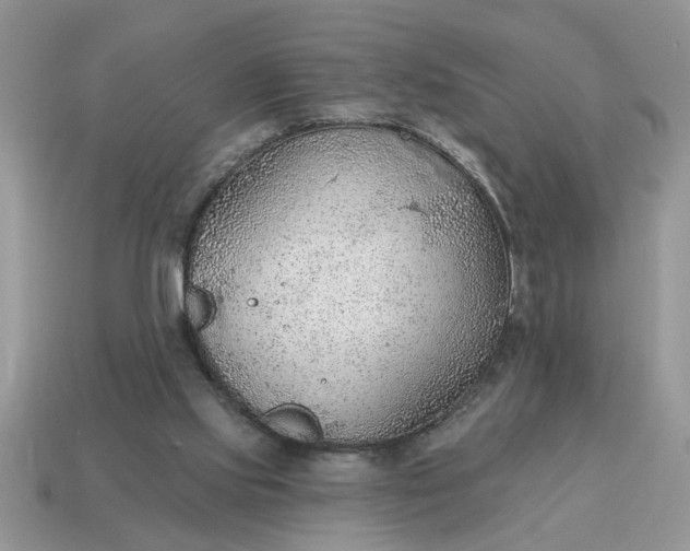 X0000115030061200911091352