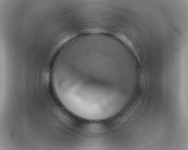 X0000115030063200911091352