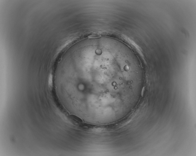 X0000115030067200911091352