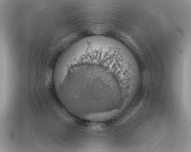 X0000115030073200911091352
