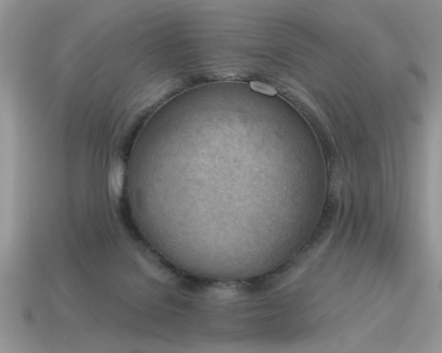 X0000115030076200911091352