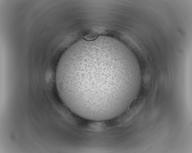 X0000115030079200911091352