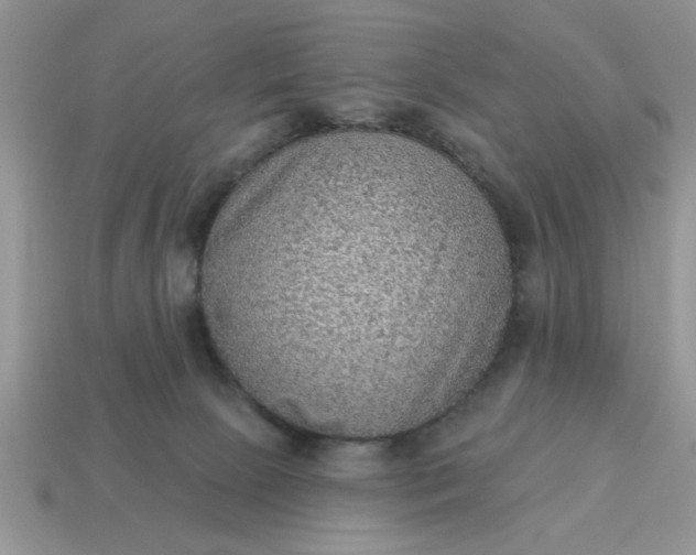 X0000115030081200911091352