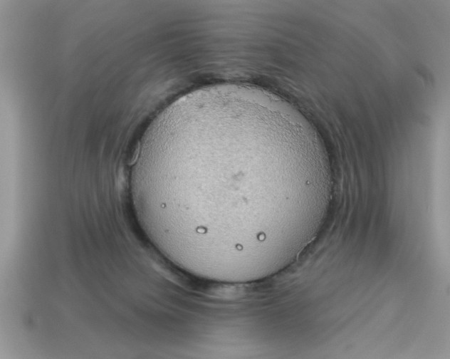 X0000115030084200911091352