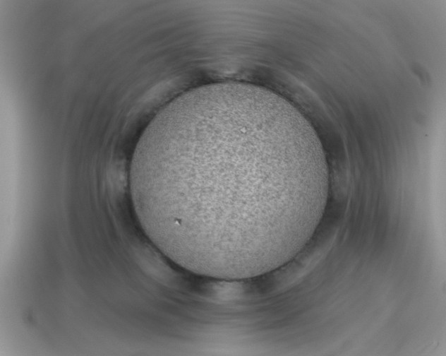 X0000115030085200911091352