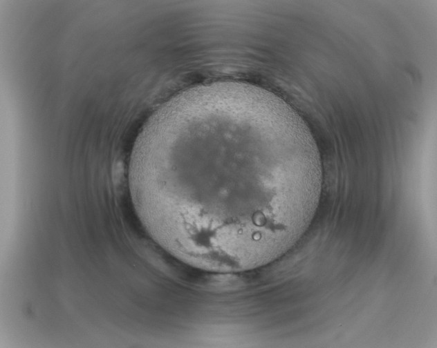X0000115030087200911091352