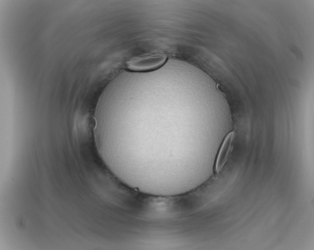 X0000115030088200911091352