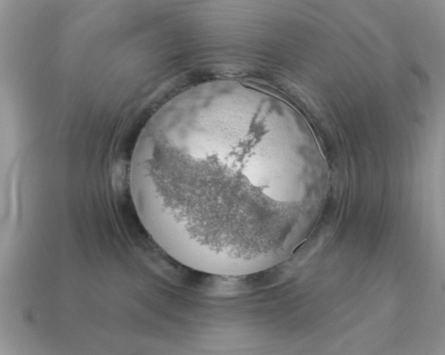 X0000115030093200911091352