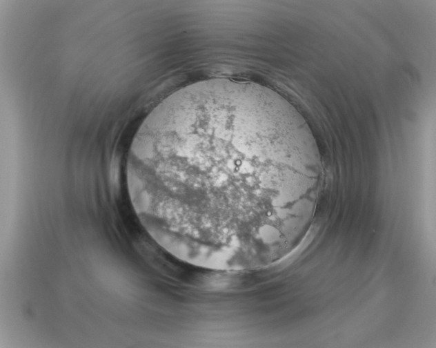 X0000115030094200911091352
