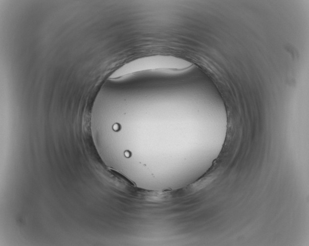 X0000115030096200911091352