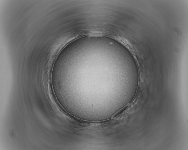 X0000115030097200911091351